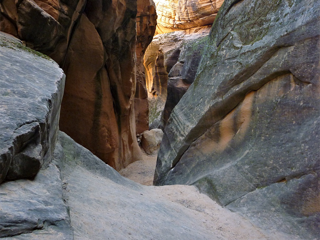 Yankee Doodle Hollow Pine Valley Mountains Utah