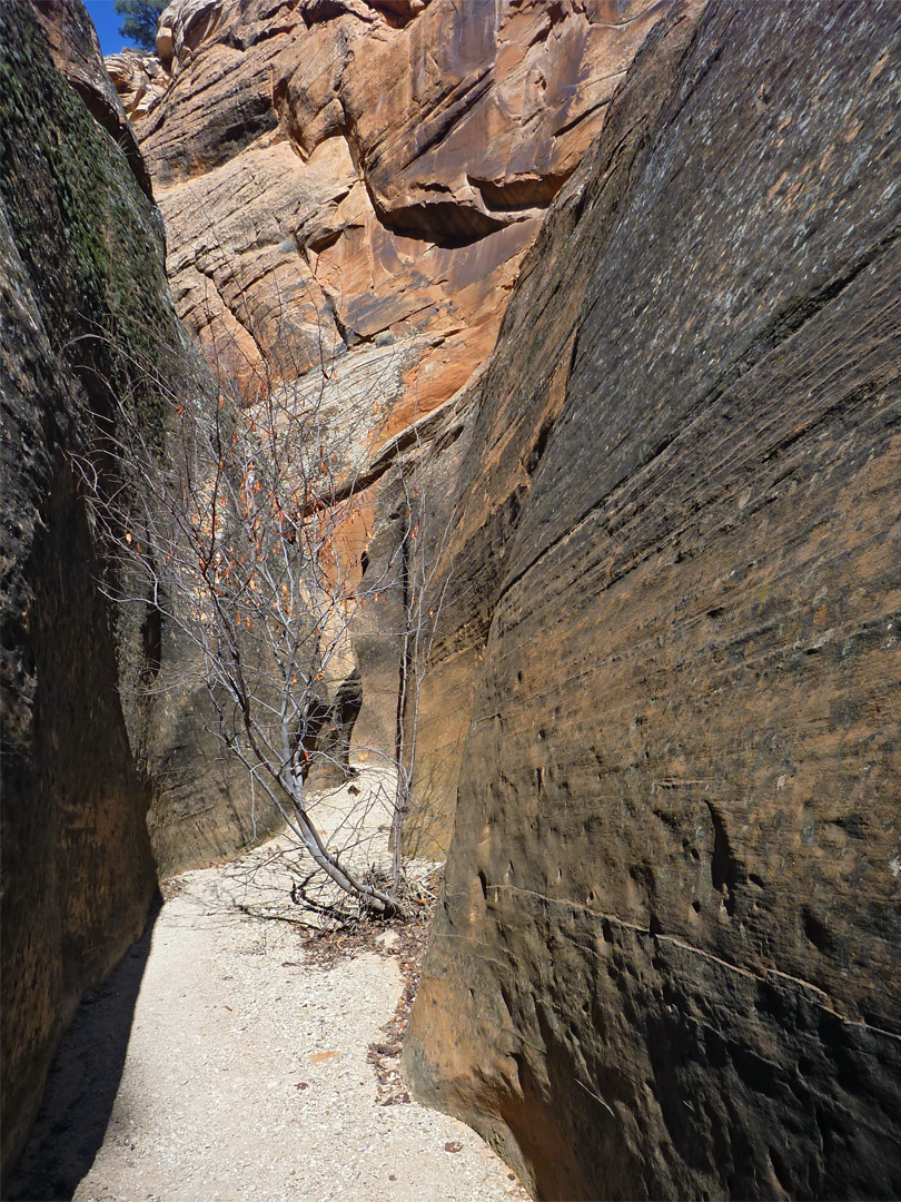 Sandy passage