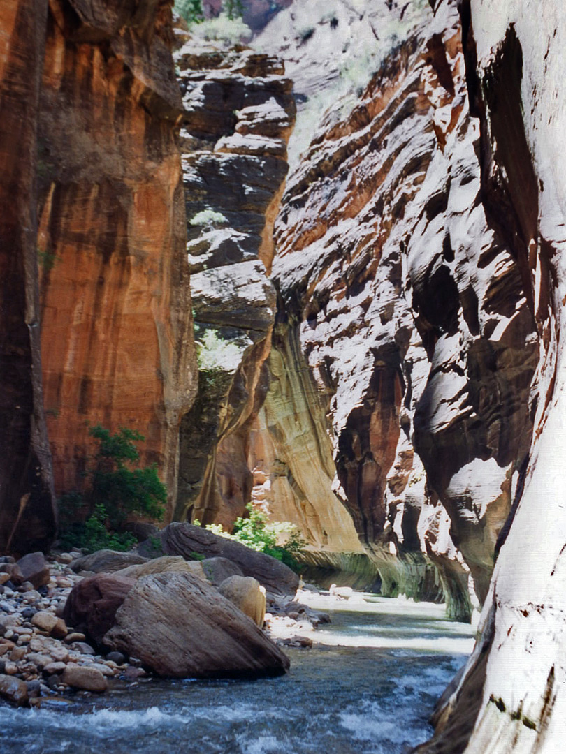 Slot Canyons of the American Southwest - Zion Narrows, Zion National