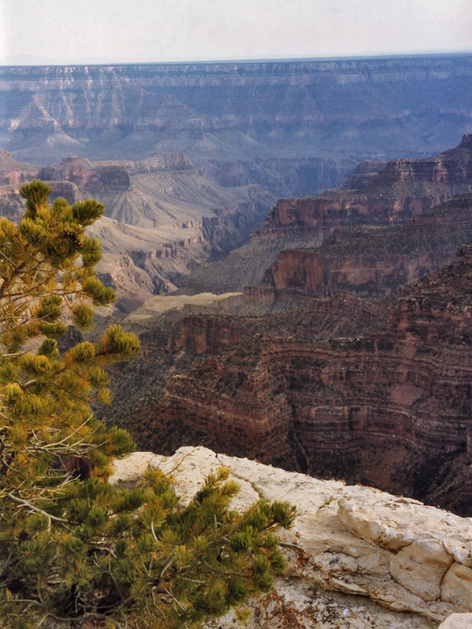 North Rim