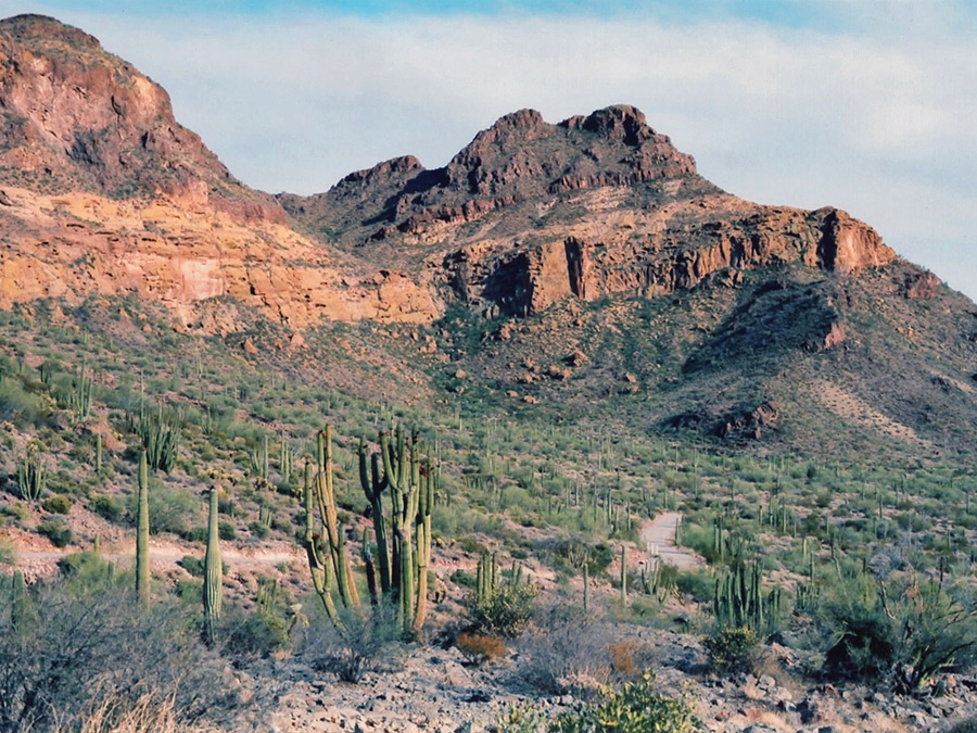 Ajo Mountain Drive