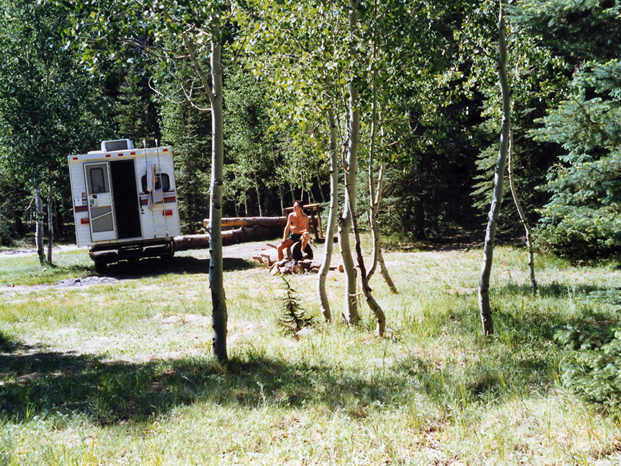 Trees at the campsite