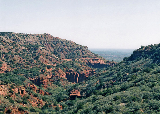 Wooded canyon along the Upper Canyon Trail