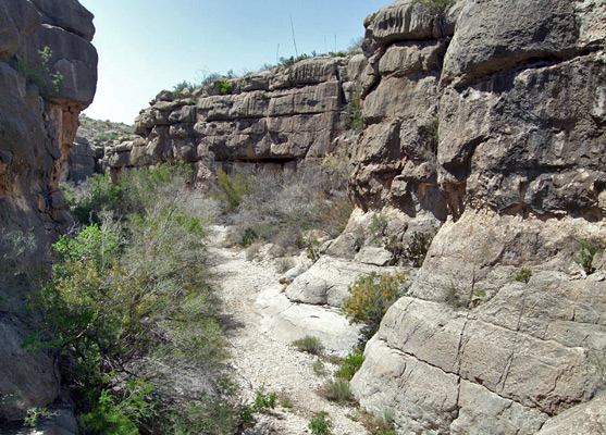 Vertical limestone walls of Devil's Den