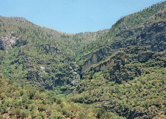 Upper McKittrick Canyon, looking towards McKittrick Ridge