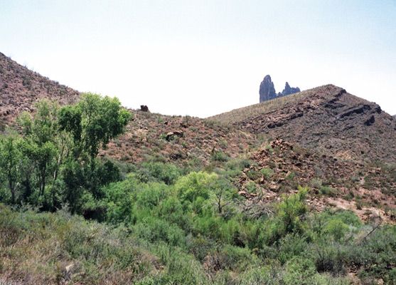 Mule Ears Spring