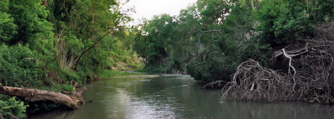 Palmetto State Park, Gonzales County, Texas