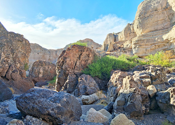 Rhyolite boulders in Tuff Canyon