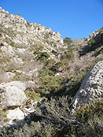 Rocks in Bear Canyon