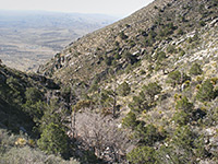 Bear Canyon