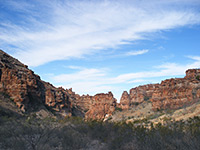 Bushy canyon floor