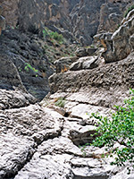 Tributary of Boquillas Canyon