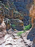 Start of the Boquillas side canyon