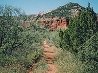 Lower Canyon Trail
