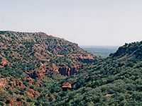 Wooded canyon