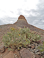 Castolon Peak