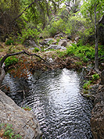 Large pool