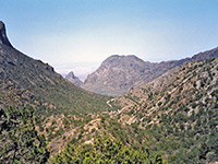 Pine Canyon