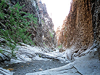 Closed Canyon