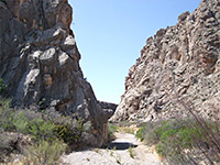 Bushes in the canyon