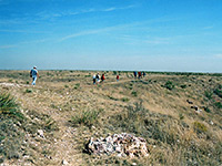 Guests on the guided tour