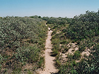 Haynes Ridge Trail