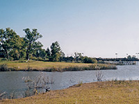 Lake Theo