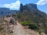 Saddle along the trail