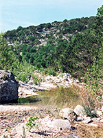 View along the Maple Trail