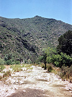 Pools along McKittrick Creek