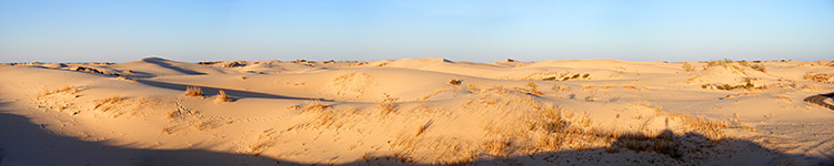 Evening sun on the Monahans Sandhills