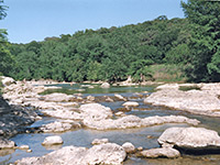 The River