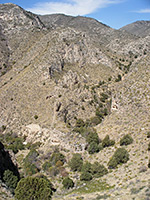 Upper end of Pine Spring Canyon