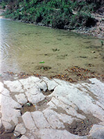 Carnosaur tracks