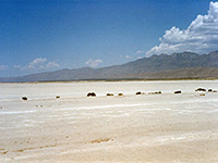 Salt Flat