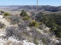 Upper end of Dog Canyon