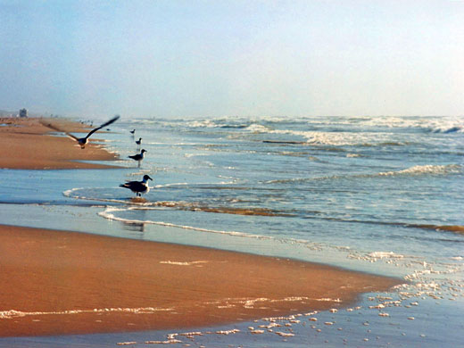 Padre Island National Seashore