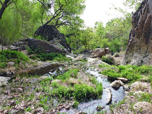 Stream below the falls