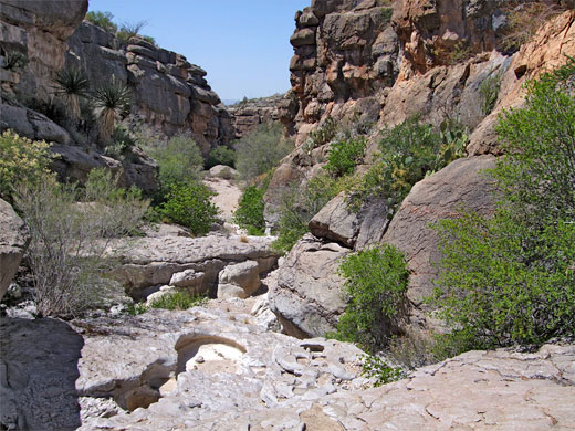 Big Bend National Park