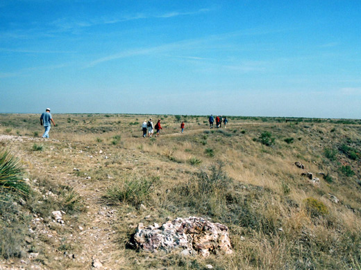 Guests on the guided tour