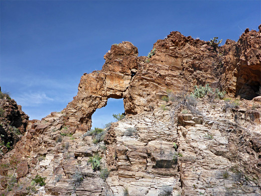 Arch near the lower end of the canyon