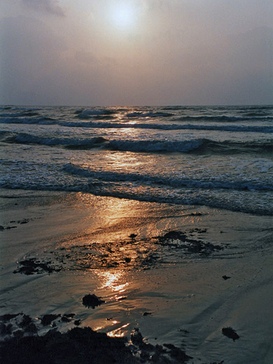 Photographs of Padre Island National Seashore