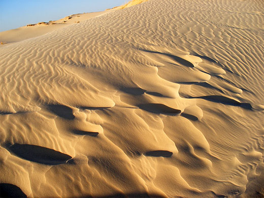 Monahans Sandhills State Park