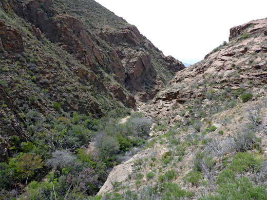 Canyon of Oak Creek