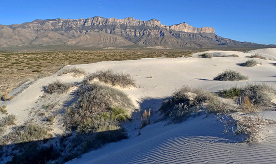 Gypsum dunes in Salt Basin