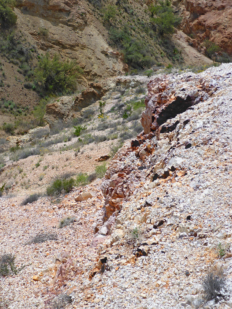 Dark purple outcrop