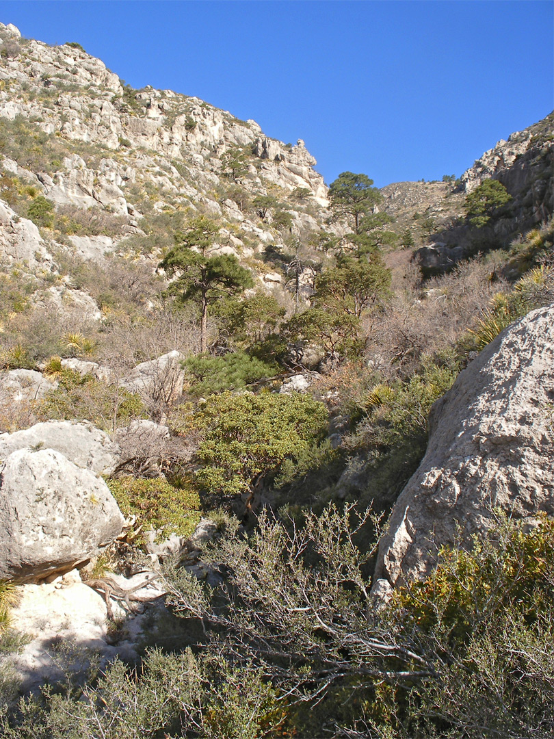 Rocks in Bear Canyon