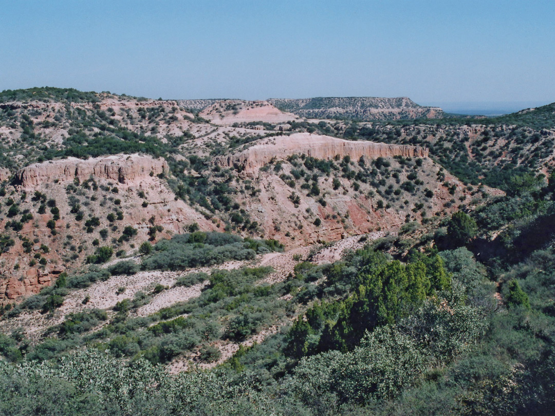 North Prong Canyon