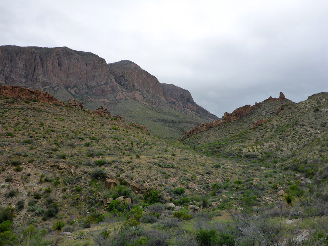 Dikes across the canyon: Ward Spring Trail, Big Bend National Park, Texas