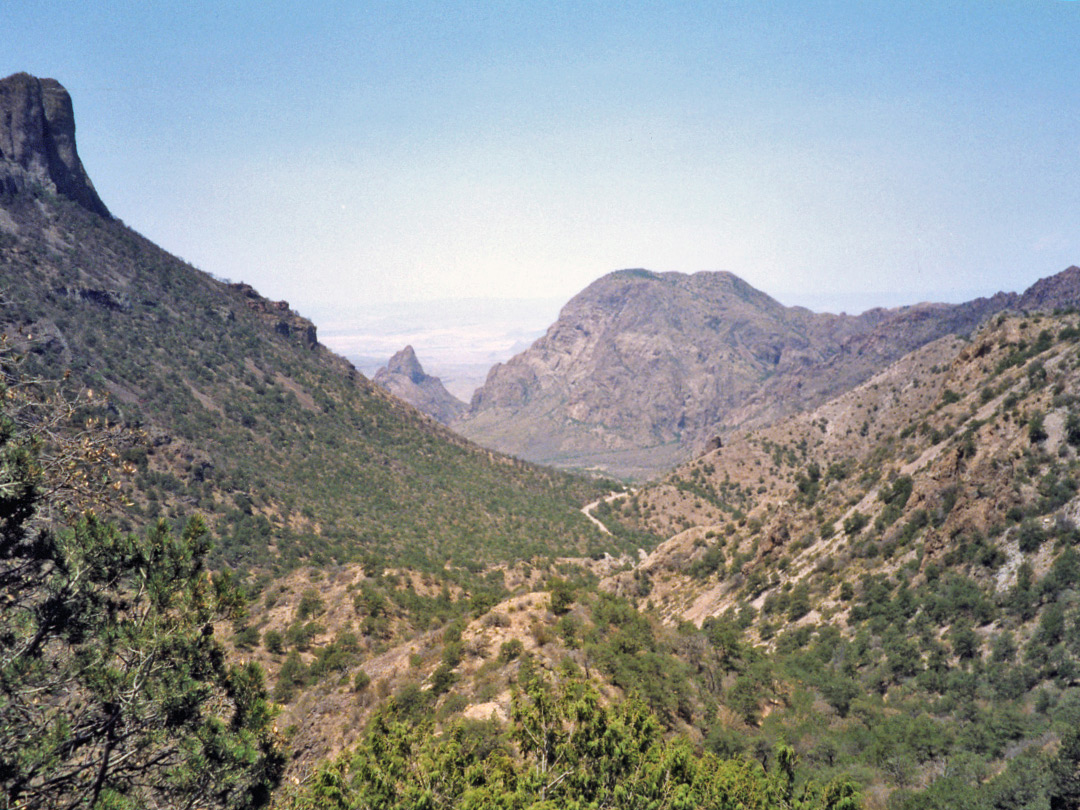 Pine Canyon